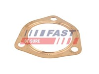 Fast FT84590 Dichtung Abgasrohr Auspuffdichtungen FüR Fiat Ducato Bus CitroëN