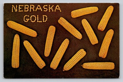 Chrome Nebraska Gold Corn Letters P445A