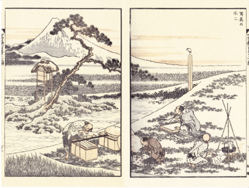 HOKUSAI : ARTIST & FUJI - 100 Views of Fuji Print of Japanese Woodblock Print - Picture 1 of 2