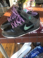 nike sb dunk mid northern lights