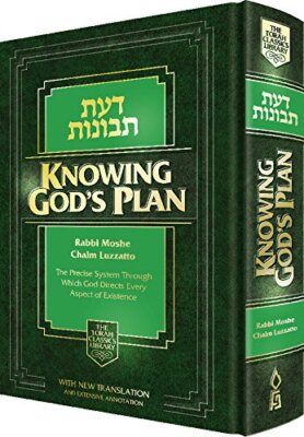 KNOWING G-D'S PLAN (DAAS TEVUNOS) - THE PRECISE SYSTEM By Rabbi Moshe NEW