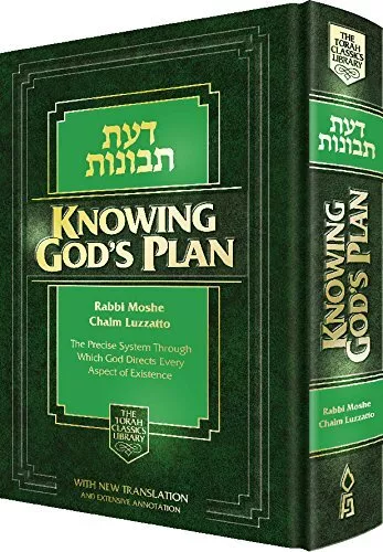 KNOWING G-D'S PLAN (DAAS TEVUNOS) - THE PRECISE SYSTEM By Rabbi Moshe NEW - Picture 1 of 1