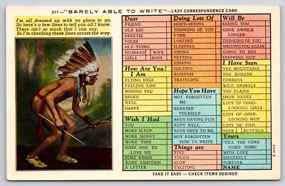 Barely Able to Write Lazy Persons Correspondence Postcard American Indian Chief