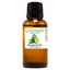 thumbnail 10 - Essential Oils - 30 mL (1 oz) - 100% Pure Therapeutic Grade Oil - 60+ Options!
