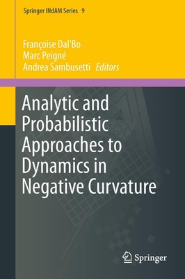 Analytic and Probabilistic Approaches to Dynamics in Negative Curvature François