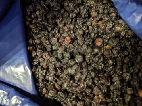 Dried Whole Elderberries bulk one pound 1 lb Sambucus Nigra elderberry Ameriherb