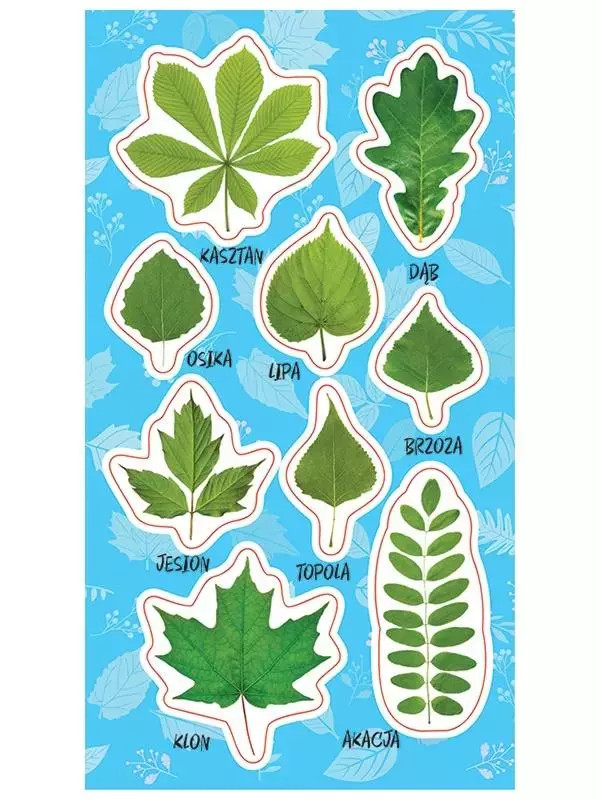 4823076150907      -