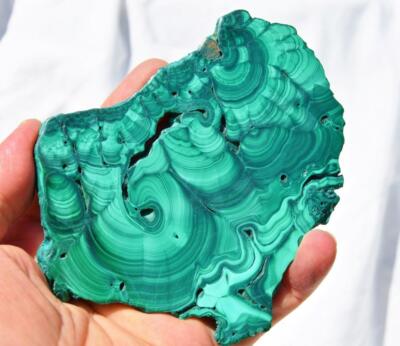 Beautiful Polished Malachite Minerals Slice Congo Crystals 129mm 5.1'' 4219c xx