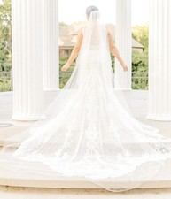 Cathedral Length White Tulle Long Sheer Bridal Wedding Veil