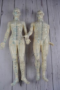Vintage Acupuncture Acupressure Male & Female Model No Base