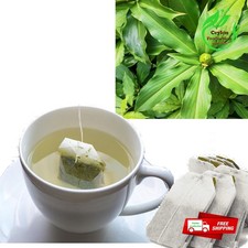 Feuilles d'insuline plante sachet de thé bio Costus igné Costaceae...