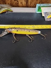 Joe Bucher 8" Depth Raider Lure Repaint