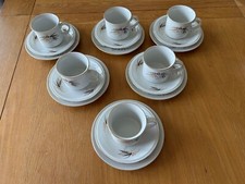 Winterling Roslau Bavaria 'Wild Flower' tea set - 18 pieces good condition