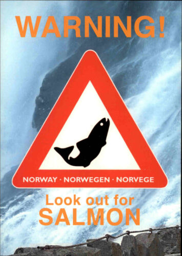 NORWEGEN Norway Norge Postcard "WARNING Look out for Salmon" Fisch-Humor-Karte