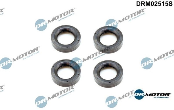 Dr.Motor Automotive DRM02515S Dichtring FüR Kerzenschacht-image