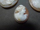 4 Cameos Carved Shell Loose, Hebe & Zeus 3 Ladies, one with a Diamond Necklace — photo 5