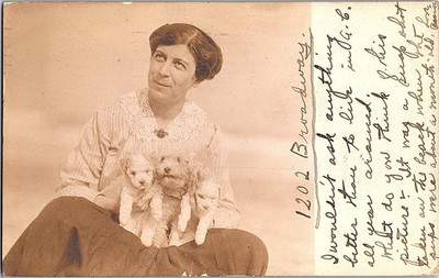 RPPC Postcard Woman 3 French Toy Poodle Dogs Alden NY Posted 1910