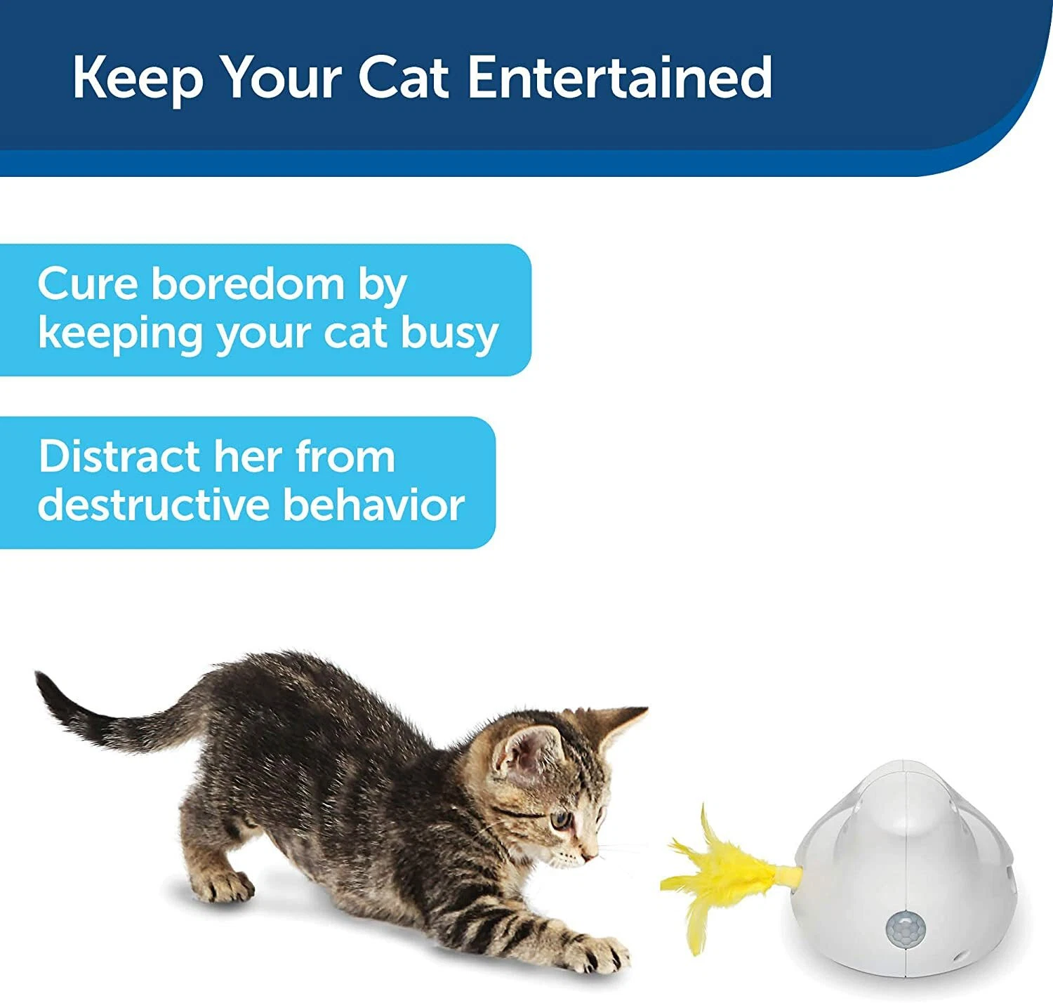PetSafe PTY00-16857 Peek A Bird Electronic Motion Activated Teaser Cat Toy
