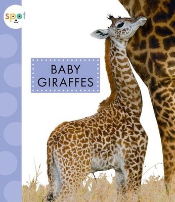 Baby Giraffes by K.C. Kelley (English) Paperback Book