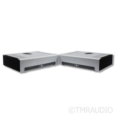 Schiit Audio TYR MonoBlock Power Amplifier; Pair