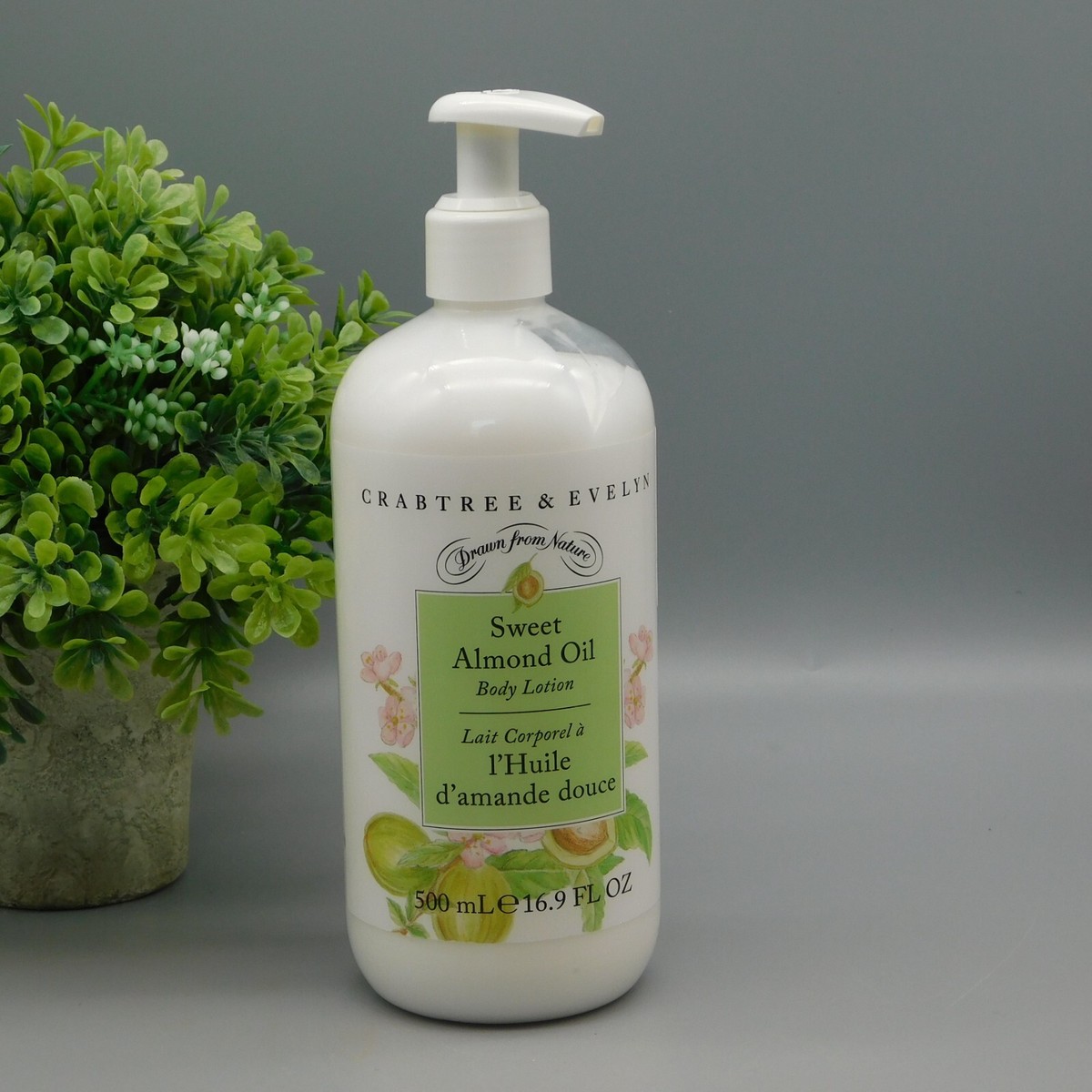 Crabtree & Evelyn Sweet Almond Oil Body Lotion 16.9 oz New
