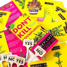 Boxer Gifts Don't Kill Your Houseplants Survival Guide Cards