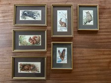 Cash's of Coventry Woven Silk Pictures Wildlife Birds Collection Fox Bald Eagle