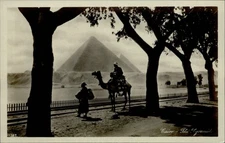 RPPC Cairo Egypt The Pyramids camel Publ Lehnert & Landrock real photo postcard