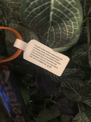 Glossier Seattle Water Bottle | eBay