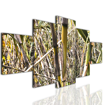 Quadri bamboo stampe moderne su tela quadro moderno tele canvas arredo #a100