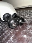 Foto 9 di 9