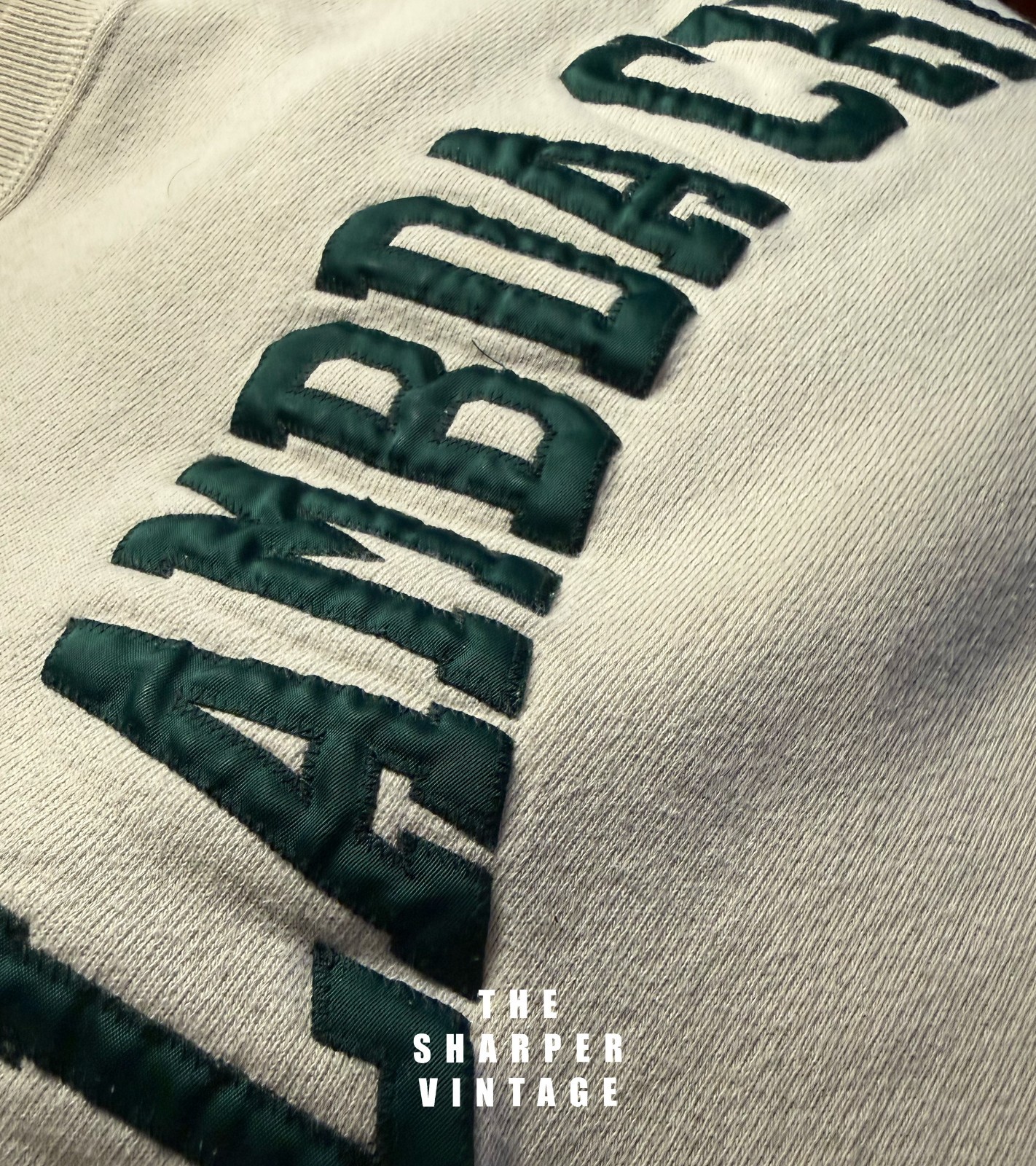 Vintage CHAMPION Reverse Weave LAMBDA CHI Fratern… - image 3