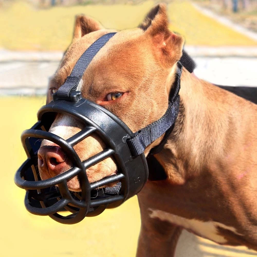 Dog mouth covers deals