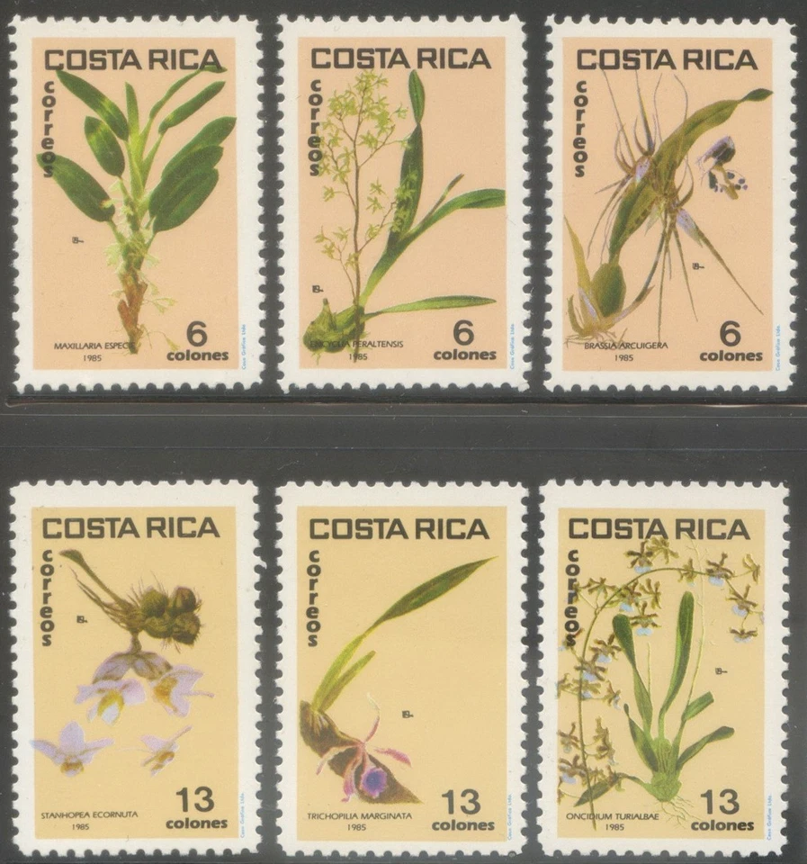 Costa Rica 1985 MNH**Orchids*Flowers*Plants*Brassia*Encyclia*Maxillaria*Oncidium - Photo 1/1