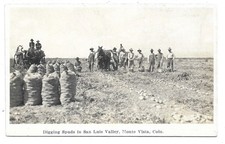 Spuds de excavación Monte Vista Colorado para postal fotográfica RPPC del Valle de San Luis