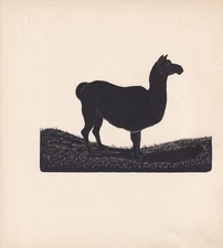 1929 LLAMA Print Wood Engraving - Vintage Animal Wall Art - 8 x 7.25 Inches