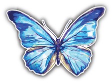 Watercolor Butterfly Car Bumper Sticker Decal