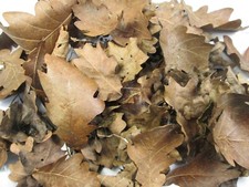 8L Organic Dried OAK Leaves Aquariums Amphibians Shrimps Fish Tanks Tannis