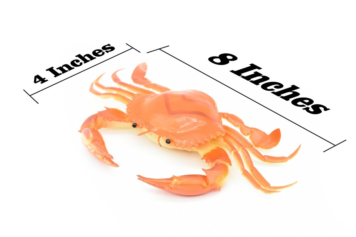 Crab orange and brown Very Nice Rubber Replica with squeak 8