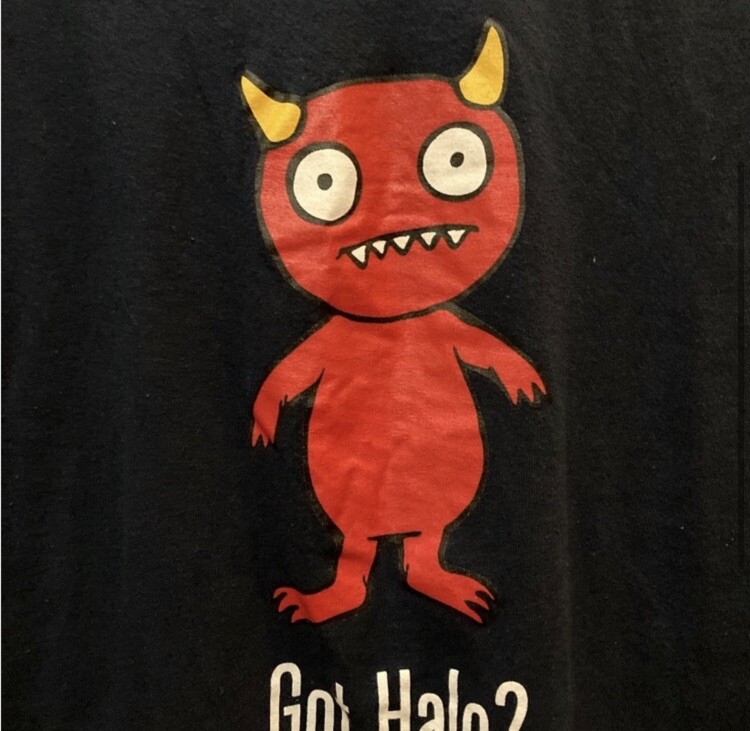 Devil got halo 2010 computer software programming… - image 2