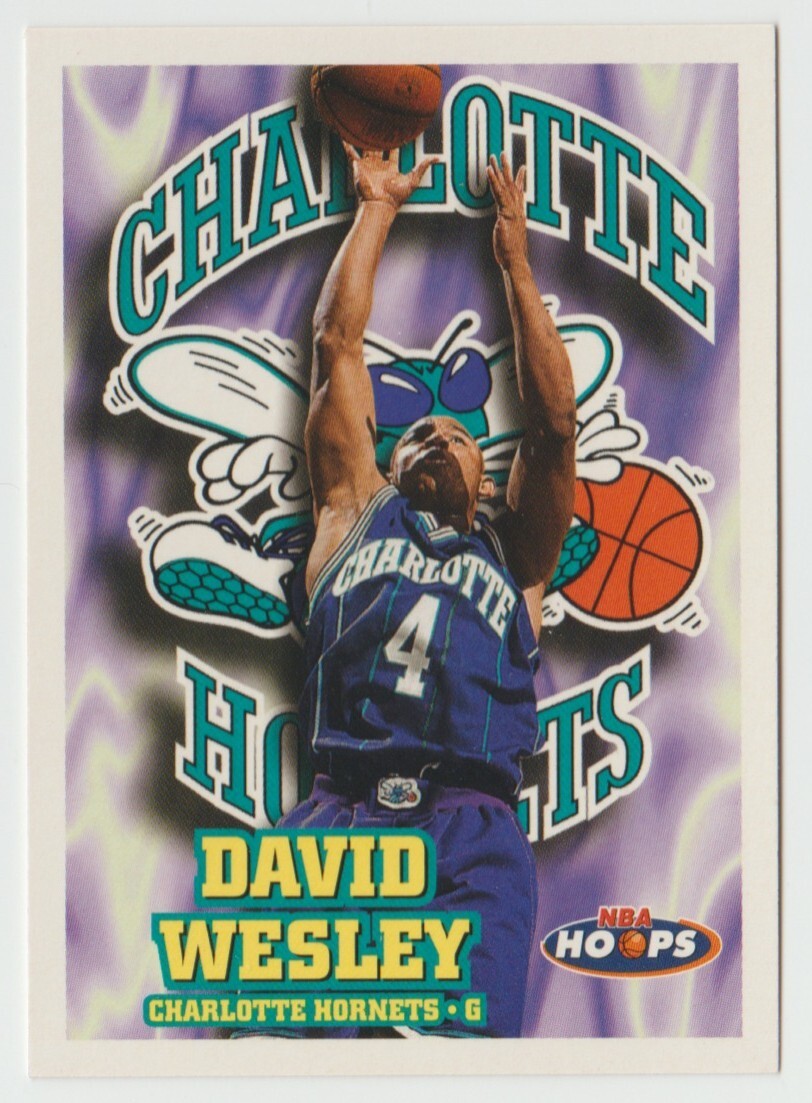 1997-98 NBA Hoops Basketball #217 David Wesley - Charlotte Hornets