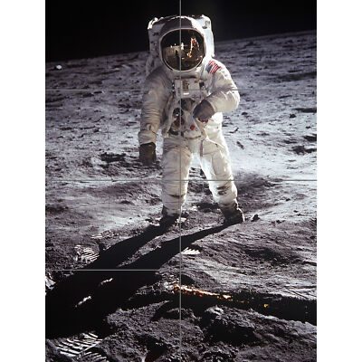 Apollo 11 Astronaut Aldrin Armstrong NASA Moon Landing Panel Poster (8 sections)