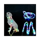 LED Light Up Dog Leash and Collar - Rechargeable, Waterproof, Reflective (Blue)