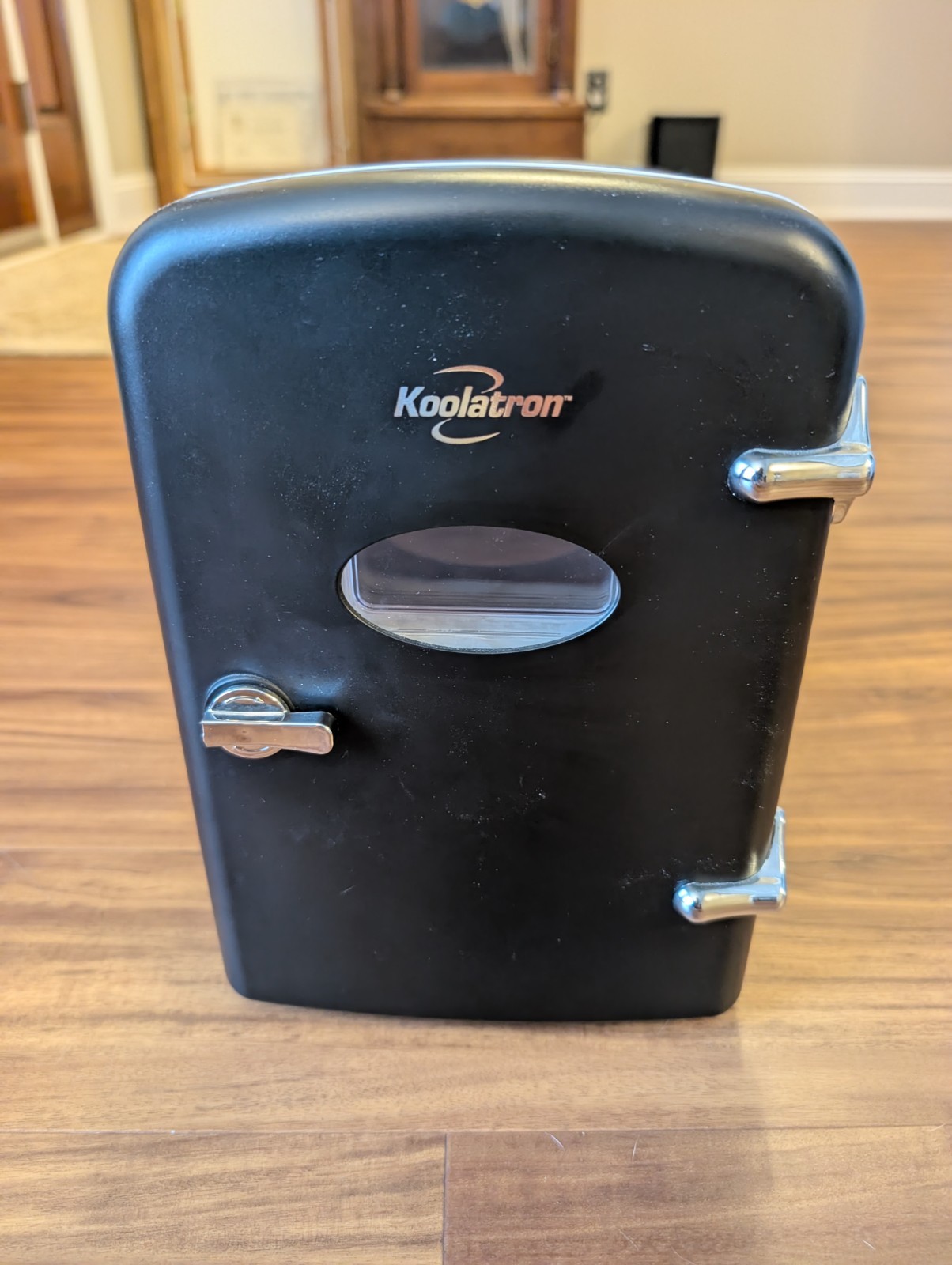 4 Liter/6 Can Ac/dc Thermoelectric Cooler