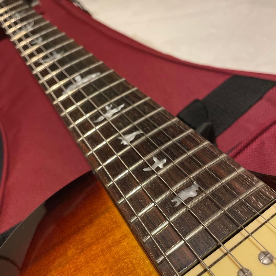 PRS SE 245 Standard