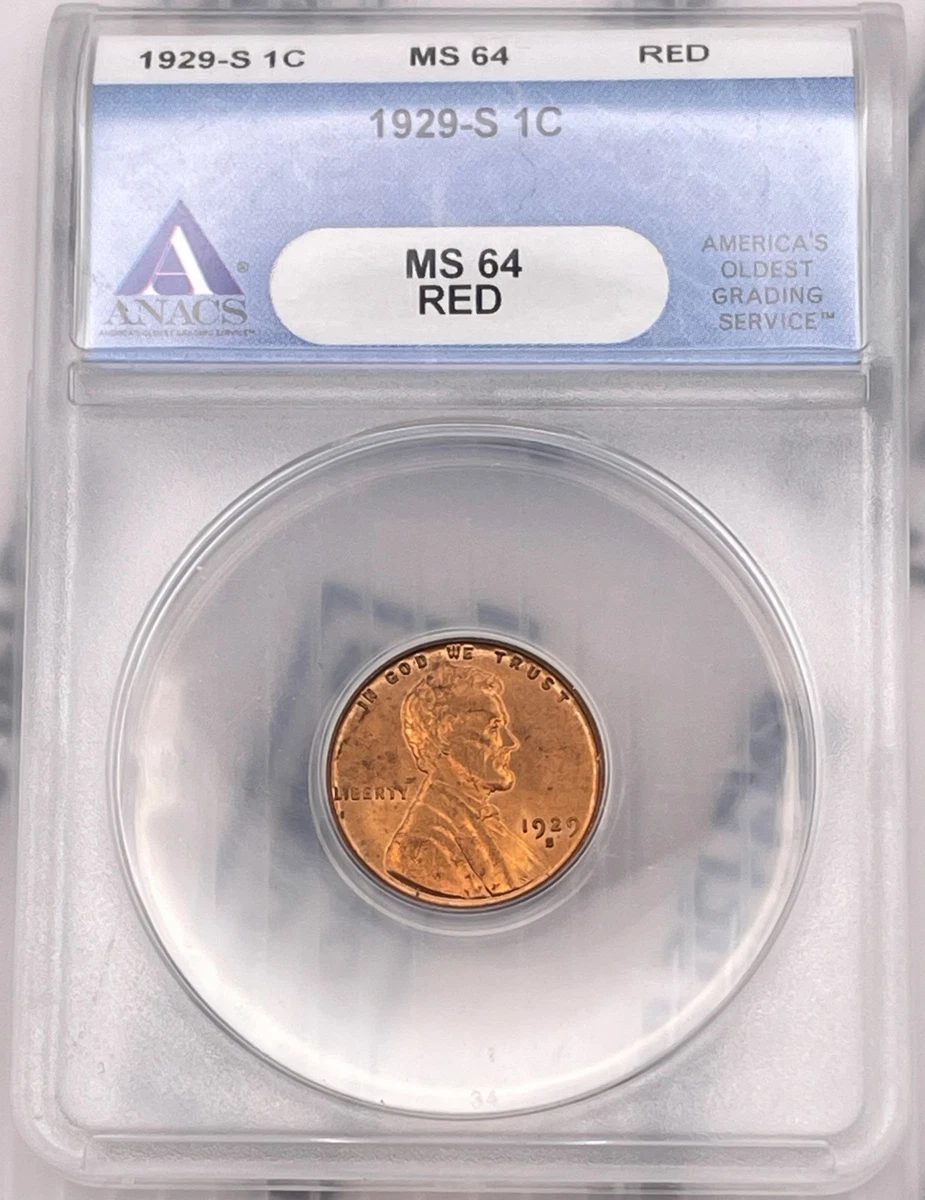 MS 64 Graded 1929 Year Lincoln Wheat US Small Cents (1909-1958