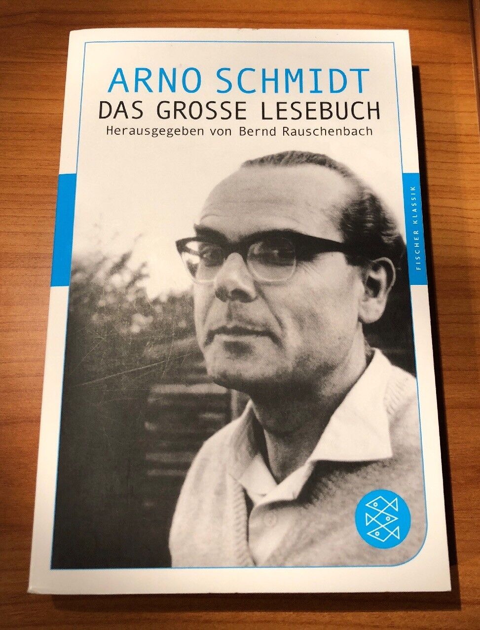 Schmidt, Arno: Das große Lesebuch - Arno Schmidt