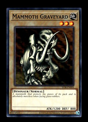 YuGiOh Legend of Blue Eyes White Dragon Mammoth Graveyard LOB