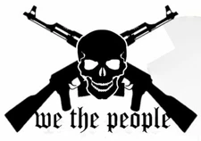 Vinyl Decal - We The People (Skull & Guns)