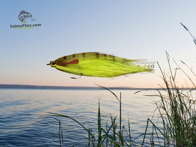   3x Baitfish Streamer ''Green Perch''   Salmoflies   Top für Hecht/Barsch/Meerfo